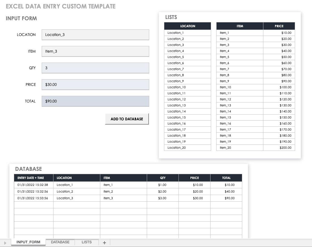 Excel Data Entry Custom Template