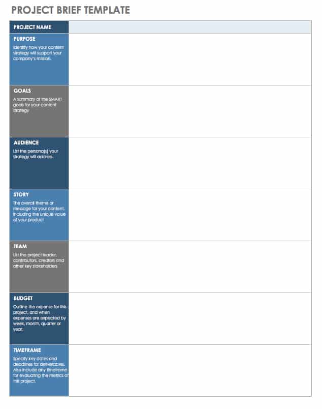 Project Brief template