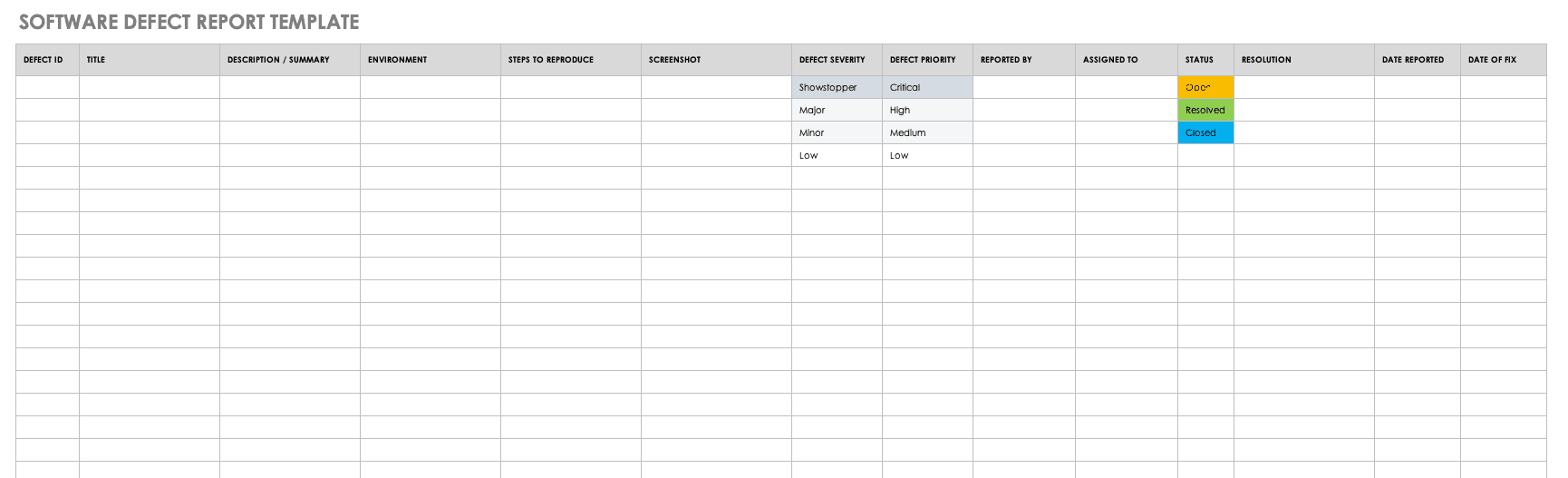 Software Defect Report Template