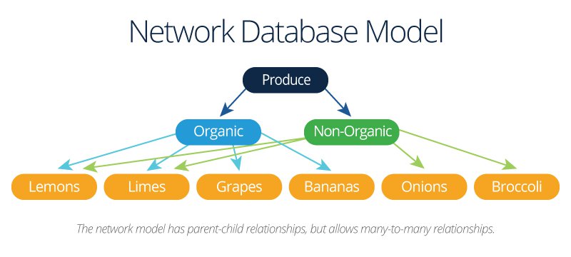 Network Database Model